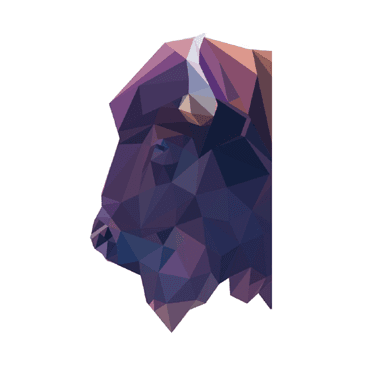 Company logo for Bison Low Carbon Ventures
